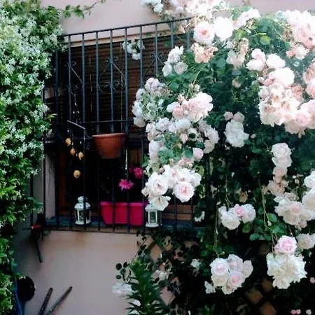 Appartamento La terrazza di Dora Menaggio Esterno foto